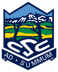 School/Organization Logo